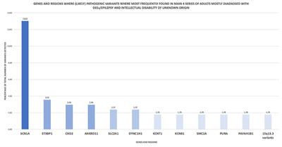 Epilepsy Genetics and Precision Medicine in Adults: A New Landscape for Developmental and Epileptic Encephalopathies